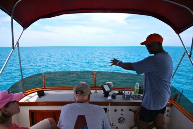 CCA on the blue waters of Bermuda © Ralph Richardson